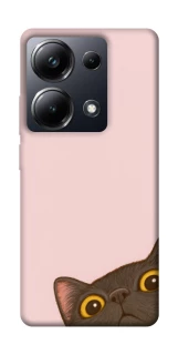 Чехол на Xiaomi Poco M6 Pro 4G Peeping cat фото 1 Чехол на Xiaomi Poco M6 Pro 4G Peeping cat фото 1 из 1
