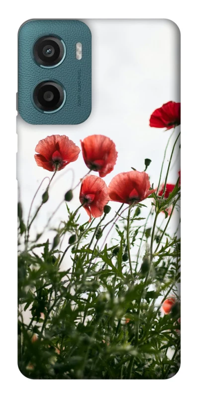 Чохол на Motorola Moto G06 Поле маків фото 1 з 1