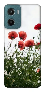 Чохол на Motorola Moto G06 Поле маків фото 1 з 1
