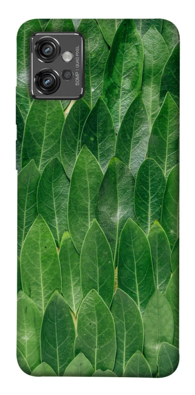Чохол на Motorola Moto G32 Листя фото 1 з 1