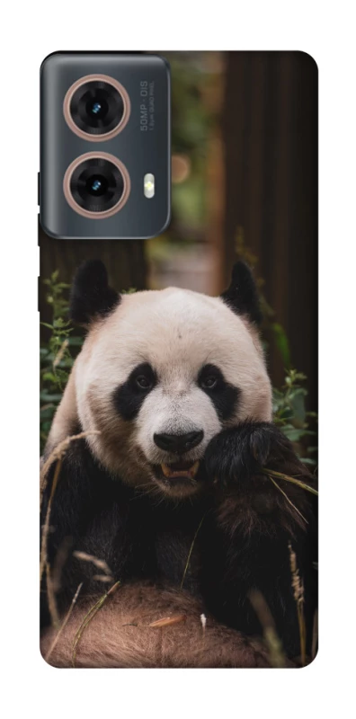 Чохол на Motorola Moto G85 Панда фото 1 з 1