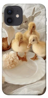 Чохол на Apple iPhone 12 (6.1") Easter Vibes фото 1 з 1