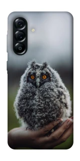 Чехол на Samsung Galaxy A57 5G Совёнок фото 1 из 1