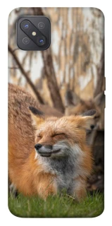 Чехол на Oppo A92s Лиса фото 1 из 1