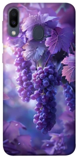 Чохол на Samsung Galaxy M20 Bunch of grapes фото 1 з 1