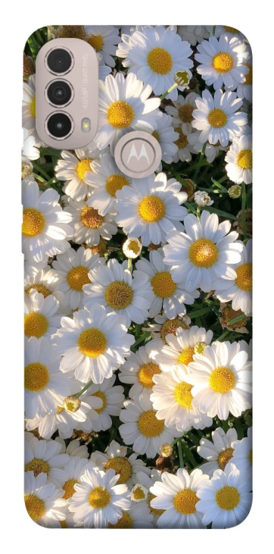 Чохол на Motorola Moto E40 Поле ромашок фото 1 з 1