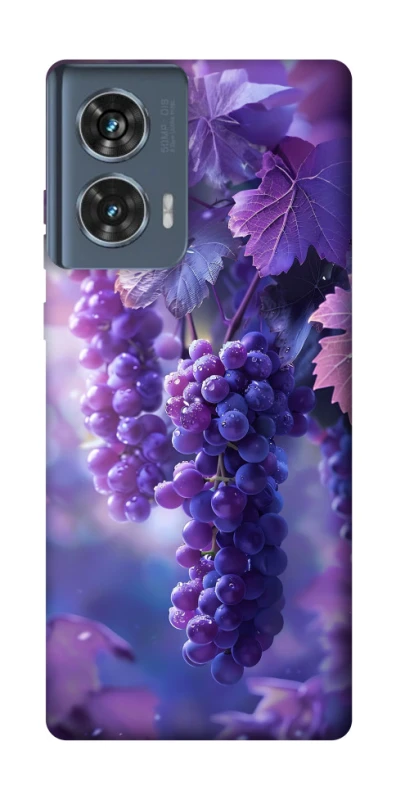 Чохол на Motorola Edge 50 Bunch of grapes фото 1 з 1