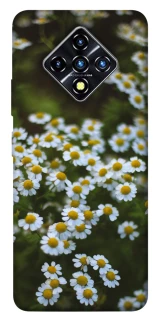 Чехол на Infinix Zero 8 Ромашки v13 фото 1 из 1