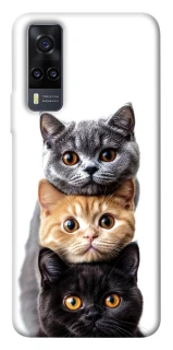 Чохол на Vivo Y31 Гарні котики фото 1 з 1