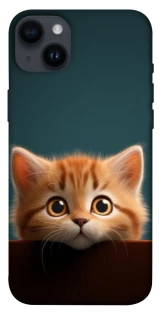 Чохол на Apple iPhone 14 Plus (6.7") Чохол Кошеня фото 1 з 1