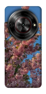 Чехол на ZTE Nubia Focus Flowers v4 фото 1 из 1
