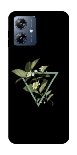 Чохол на Motorola Moto G54 Power Flowers ver.2 фото 1 Чохол на Motorola Moto G54 Power Flowers ver.2 фото 1 з 1