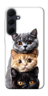 Чохол на Samsung Galaxy A35 Гарні котики фото 1 з 1
