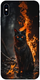 Чехол на Apple iPhone X (5.8") Огненный кот фото 1 из 1