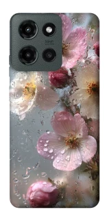 Чохол на Motorola Moto G Power (2025) Flowers v10 фото 1 з 1
