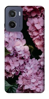 Чехол на Motorola Moto G05 Розовые гартензии фото 1 из 1