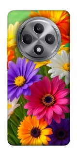 Чехол на Oppo Reno 12 F 4G Flowers v32 фото 1 из 1