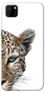 Чохол на Huawei Y5p Leopard Art v2 фото 1 з 1