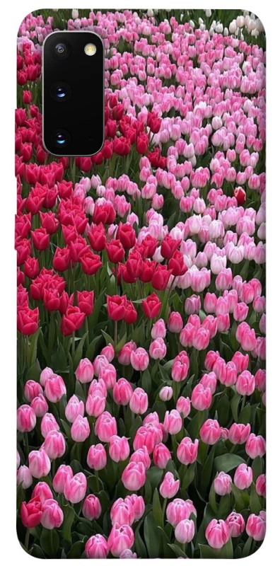 Чохол на Samsung Galaxy S20 Flowers v9 фото 1 з 1