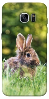 Чехол на Samsung G935F Galaxy S7 Edge Кролики фото 1 из 1