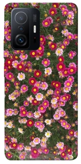 Чехол на Xiaomi 11T / 11T Pro Flowers v8 фото 1 из 1