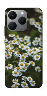 Чехол на Realme 15T Ромашки v13 фото 1 из 1