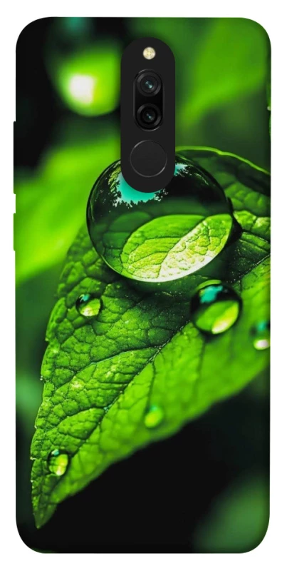 Чохол на Xiaomi Redmi 8 Flowers v16 фото 1 з 1