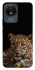 Чехол на Vivo Y02 Leopard v4 фото 1 из 1