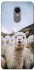 Чохол на Xiaomi Redmi 5 Plus / Redmi Note 5 (Single Camera) Лама фото 1 з 1
