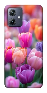 Чохол на Motorola Moto G54 Тюльпанове поле фото 1 Чохол на Motorola Moto G54 Тюльпанове поле фото 1 з 1