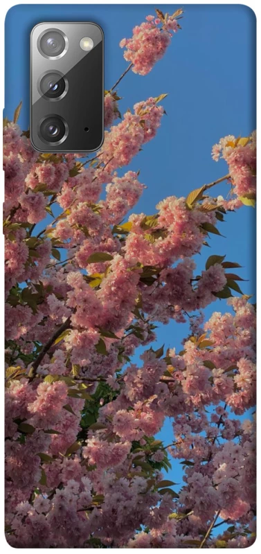 Чохол на Samsung Galaxy Note 20 Flowers v4 фото 1 з 1