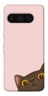 Чехол на Google Pixel 8 Pro Peeping cat фото 1 из 1