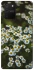 Чехол на Samsung Galaxy S10 Lite Ромашки v13 фото 1 из 1
