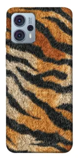 Чехол на Motorola Moto G23 Tiger фото 1 из 1