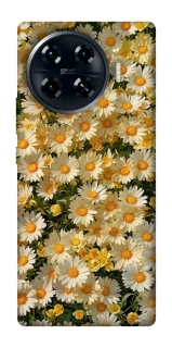 Чехол на TECNO Spark 20 Pro+ Camomile фото 1 из 1