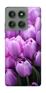 Чехол на Motorola Edge 60 Pro Фиолетовые тюльпаны фото 1 из 1