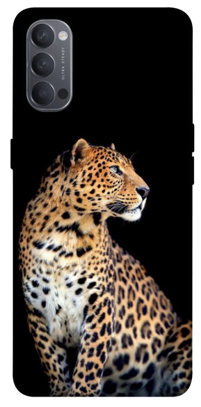 Чохол на Oppo Reno 4 Leopard v2 фото 1 з 1