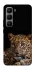 Чехол на Infinix Hot 60 Pro+ Leopard v4 фото 1 из 1