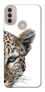 Чохол на Motorola Moto E40 Leopard Art v2 фото 1 з 1