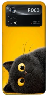 Чохол на Xiaomi Poco X4 Pro 5G This is Cat фото 1 з 1