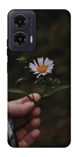 Чехол на Motorola Moto G35 Ромашка v4 фото 1 из 1