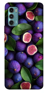 Чохол на Motorola Moto G60 Figs фото 1 з 1