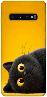 Чохол на Samsung Galaxy S10 This is Cat фото 1 з 1