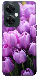 Чехол на OnePlus Nord CE 3 Lite Фиолетовые тюльпаны фото 1 из 1