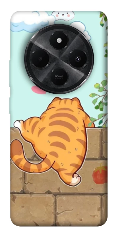 Чохол на Xiaomi Redmi A4 Cat the meow фото 1 з 1