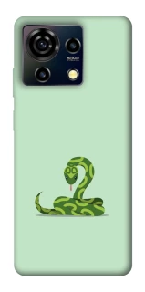 Чохол на ZTE Blade V50 Vita Змійка фото 1 з 1