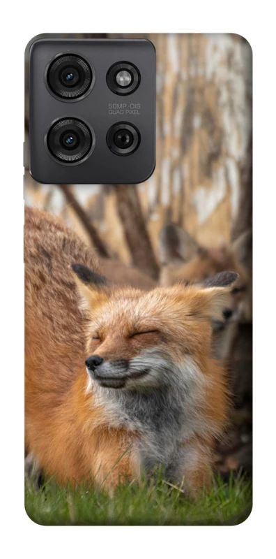 Чохол на Motorola Moto G75 Лисиця фото 1 з 1