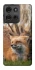 Чохол на Motorola Moto G75 Лисиця фото 1 з 1