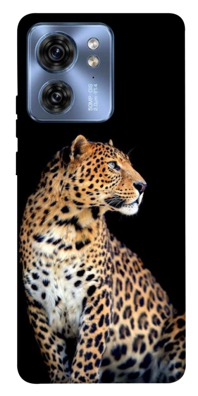 Чехол на Motorola Edge 40 Leopard v2 фото 1 из 1
