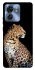 Чехол на Motorola Edge 40 Leopard v2 фото 1 из 1
